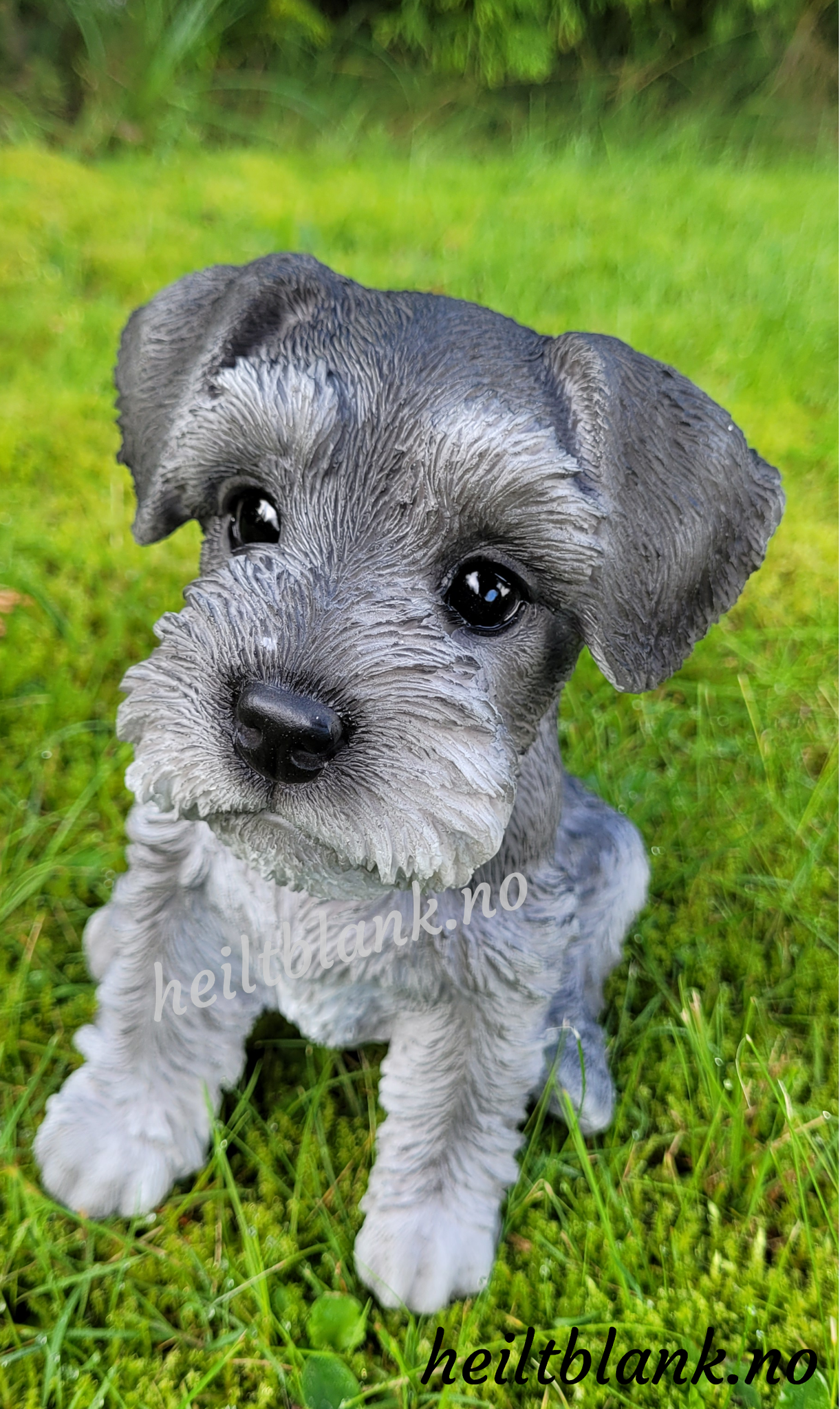 Schnauzer valp figur - Heiltblank