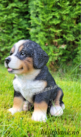 Berner sennen valp