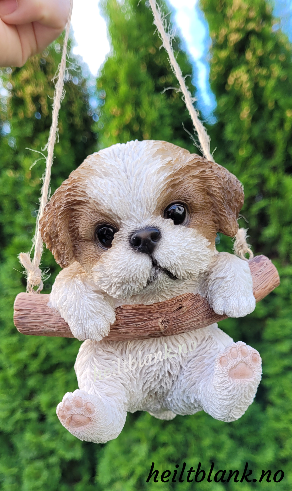 Shih tzu hengende på huske