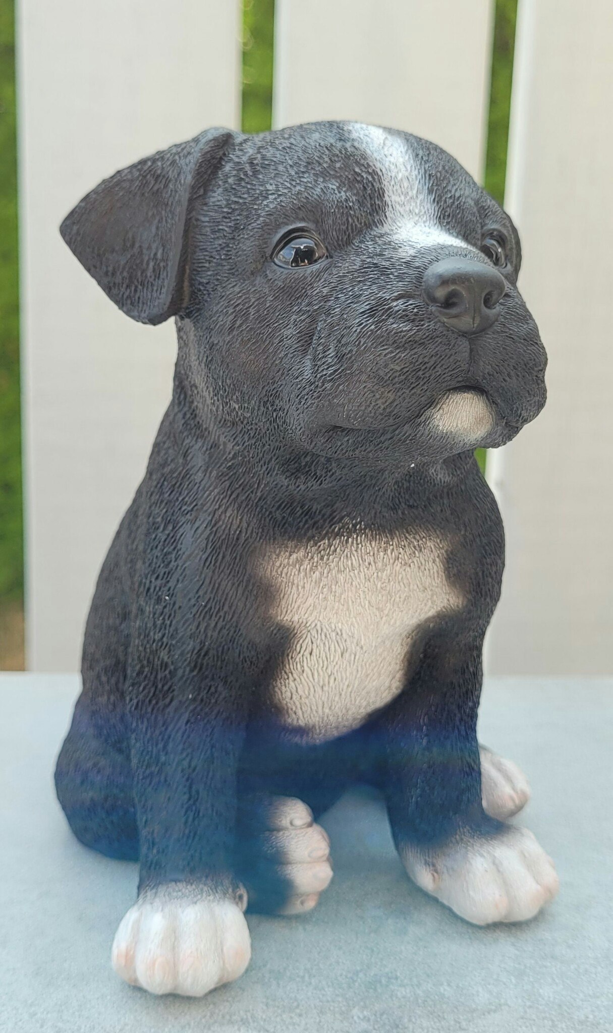 Staffordshire bull terrier valp