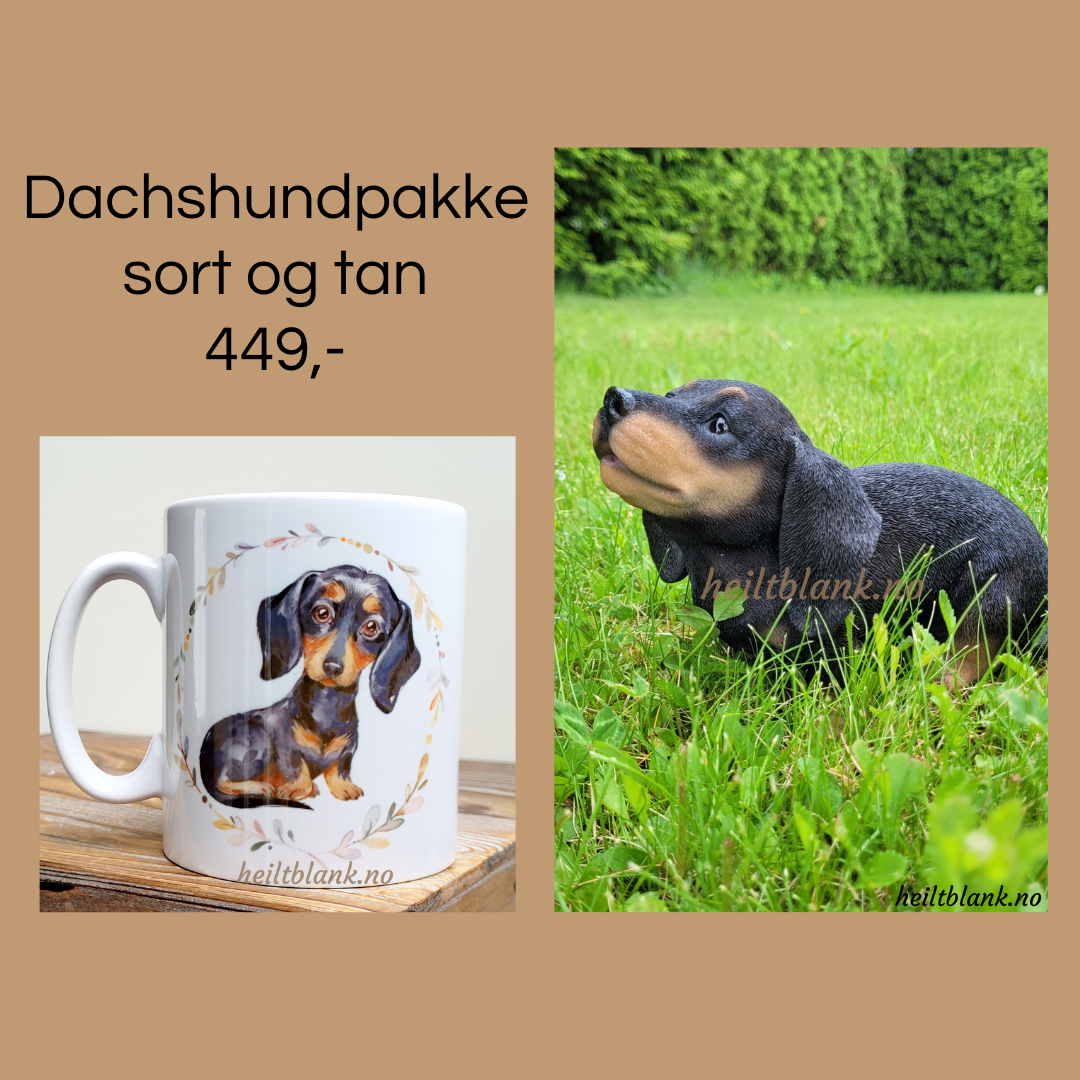 Dachshund gavepakke - sort og tan
