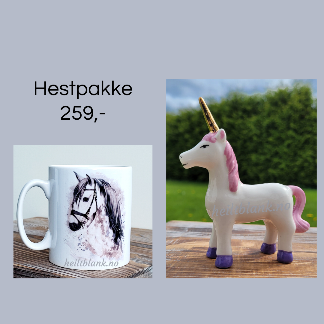 Hest gavepakke - til voksen