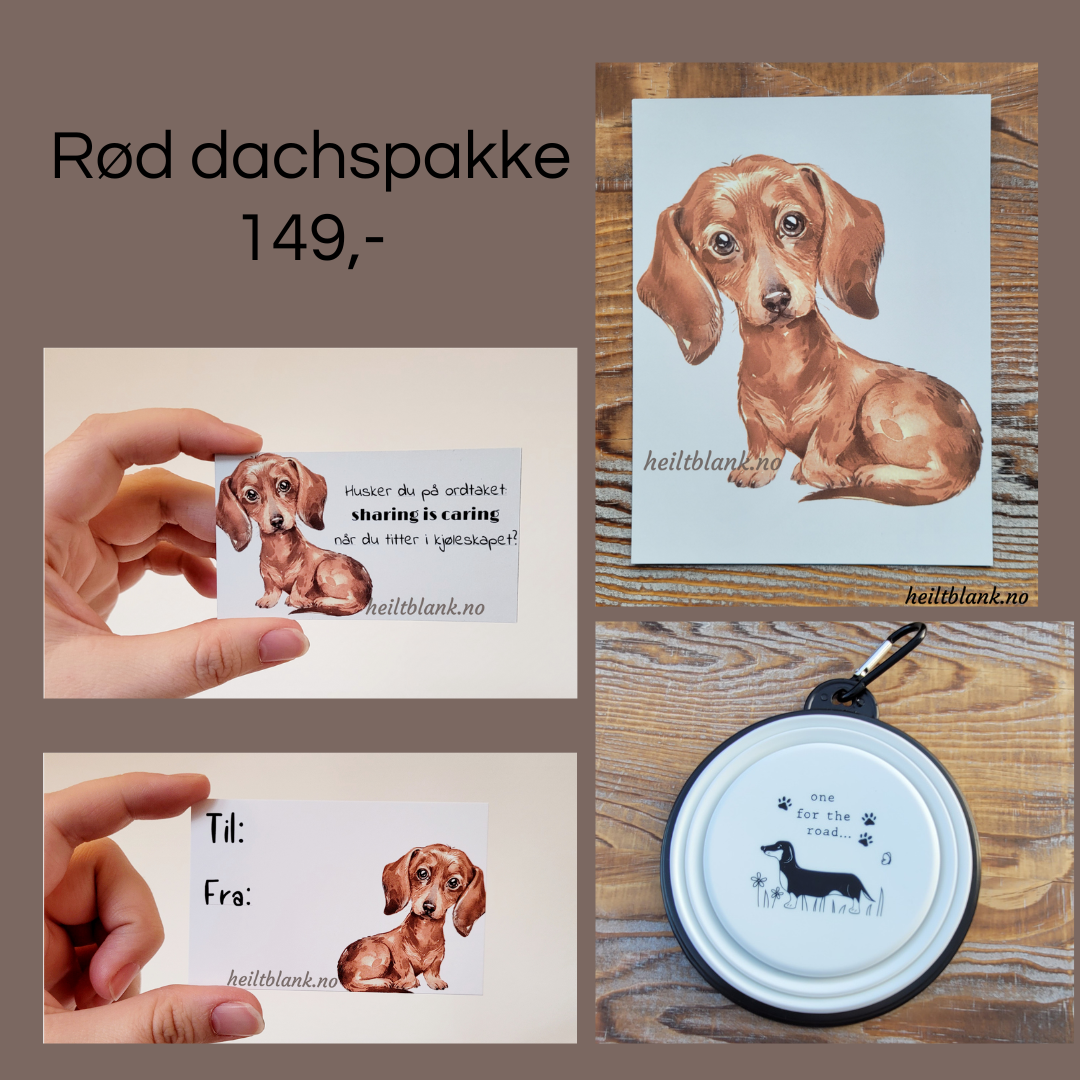 Rød dachs gavepakke
