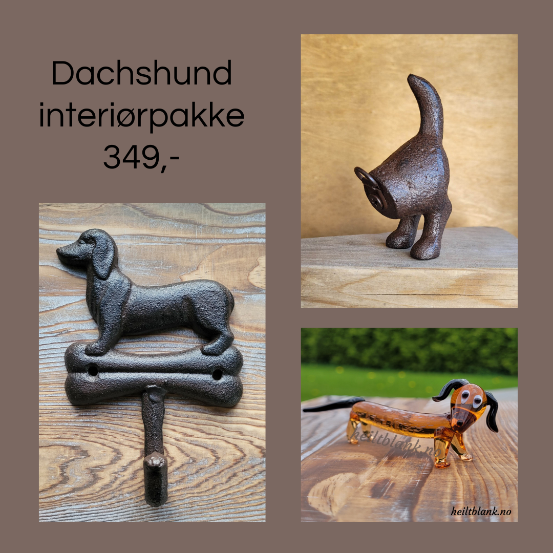 Dachshund interiør gavepakke