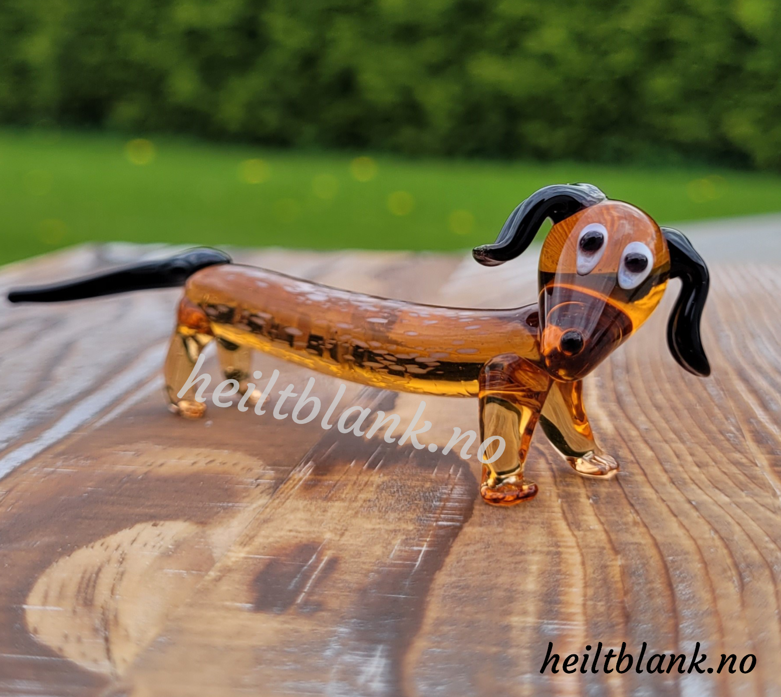 Dachshund interiør gavepakke