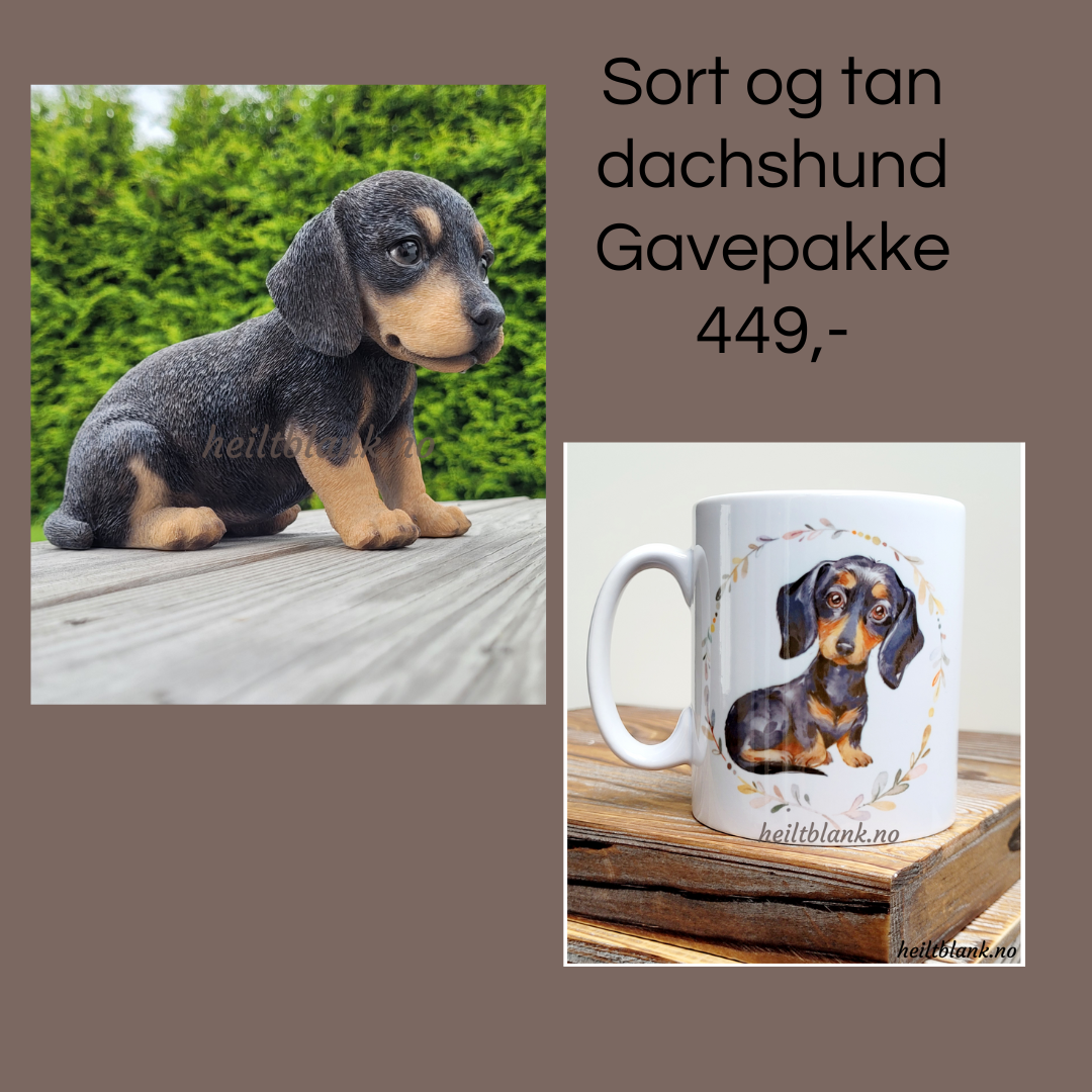 Sort og tan dachshund - gavepakke