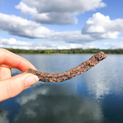 TassaFritt Hundgodis - Älgsticks