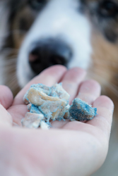 Ultimate Chicken & Blue Spirulina