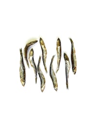 Raw Treats - Ansjovis