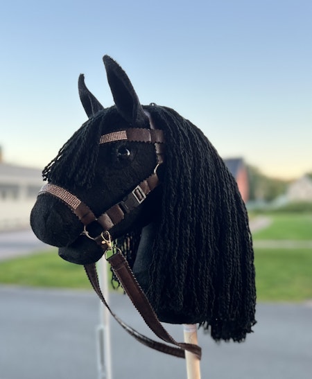 Black Beauty
