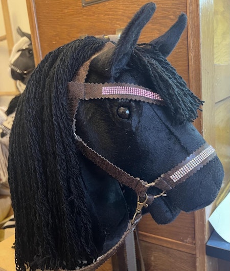 Black Beauty