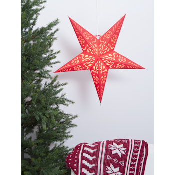 Julstjärna röd
