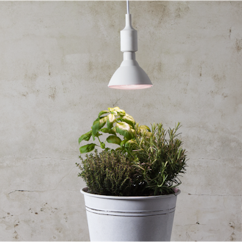 Växtlampa LED E27