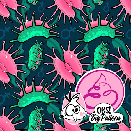 Venus Fossil Free 0,5 m