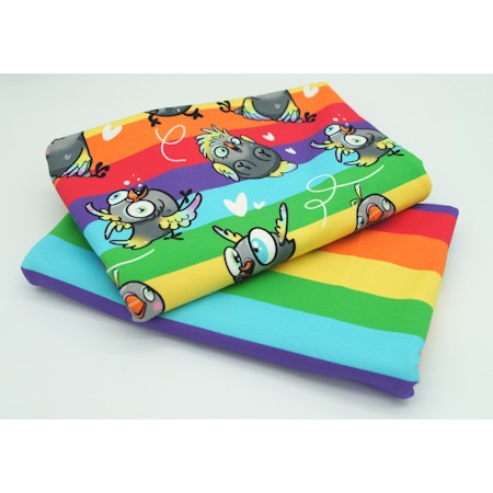 Rainbow Kompis 0,9 m