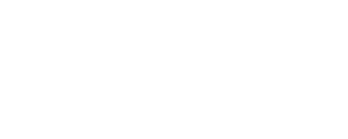 R8 (2015-) - Bische Performance AB