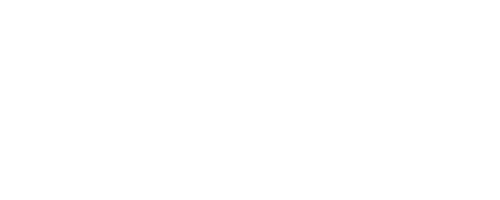 F-150 (2015-2020) - Bische Performance AB