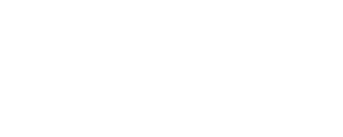 C8 A6 (2018-) - Bische Performance AB