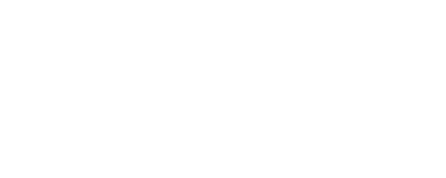 Passat B8 (2019-) - Bische Performance AB
