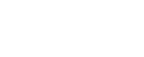 TT 8N (1998-2006) - Bische Performance AB