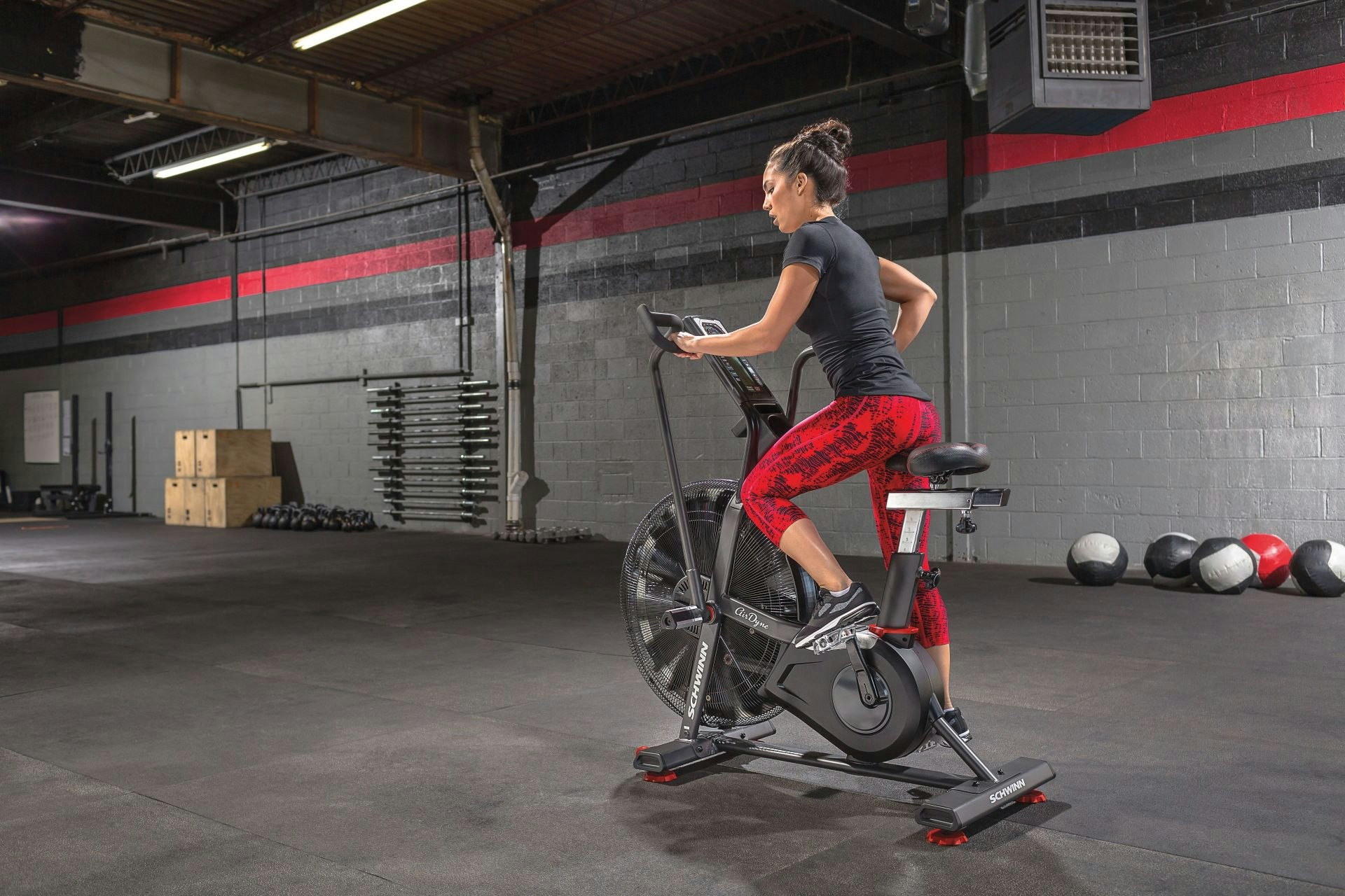 Abilica Schwinn Airdyne AD8