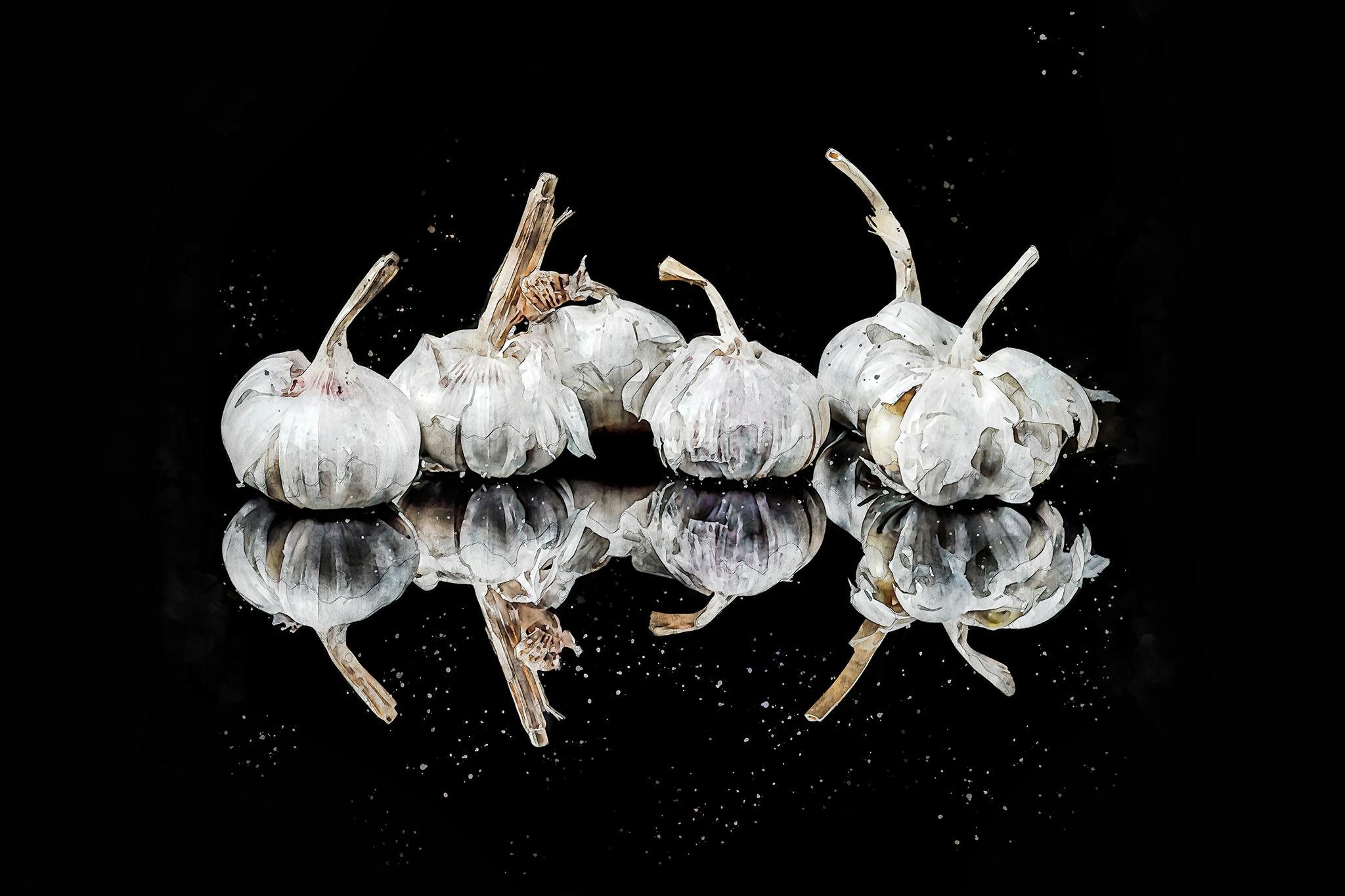 Garlic auqa (vitlök)