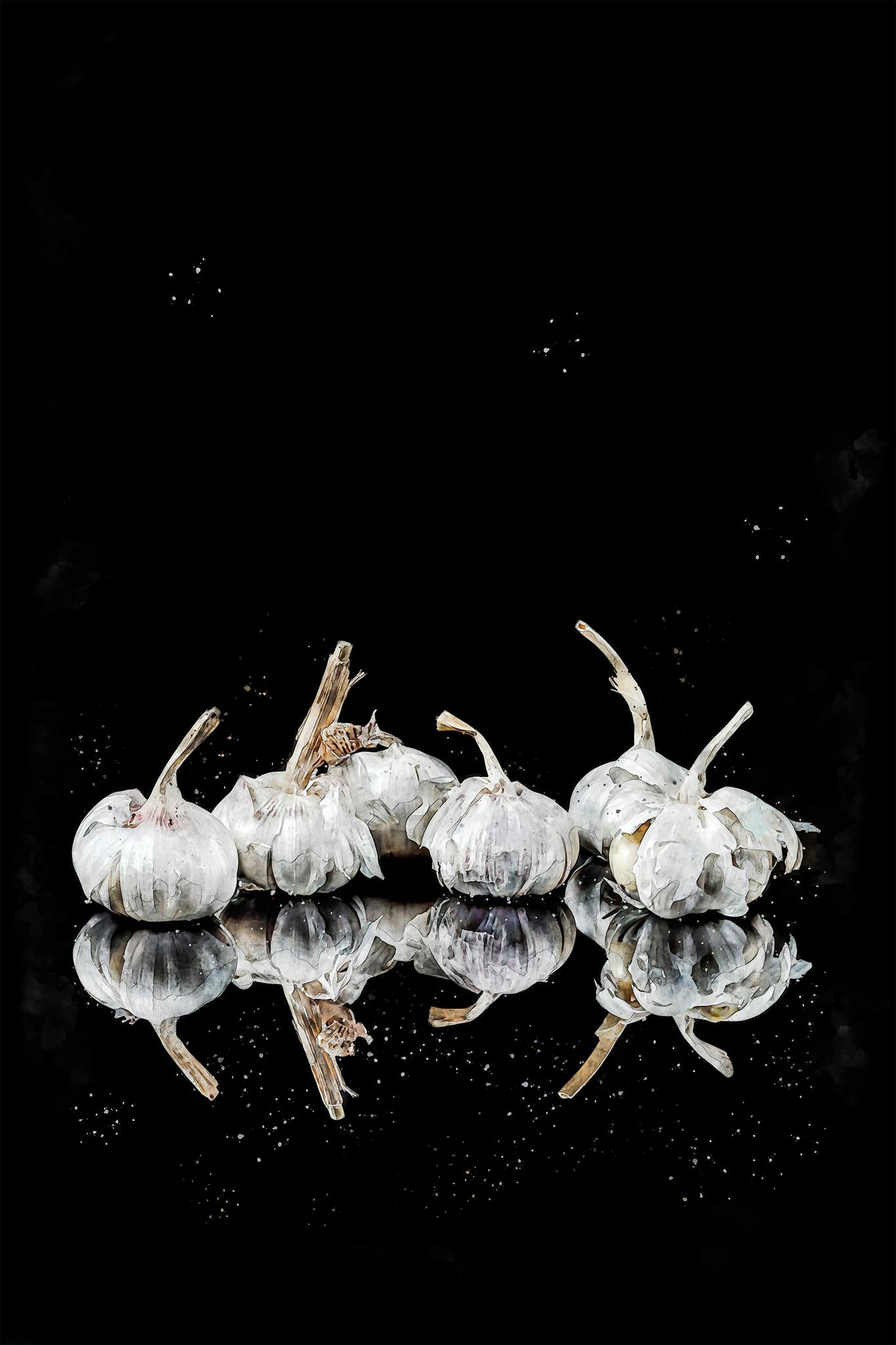 Garlic auqa (vitlök)