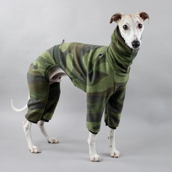 Whippet - Overall