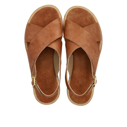 Angulus 5637 Tan, normalform