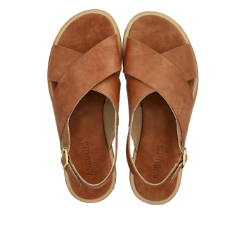 Angulus 5637 Tan, normalform