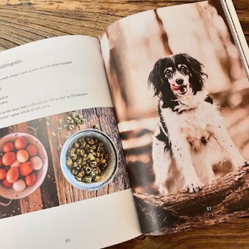 E-bok Hemlagat i matskålen, Hundmatskockens bästa recept