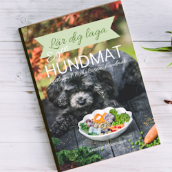 Lär dig laga egen hundmat, hundmatsrecept