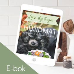 Lär dig laga egen hundmat, E-bok
