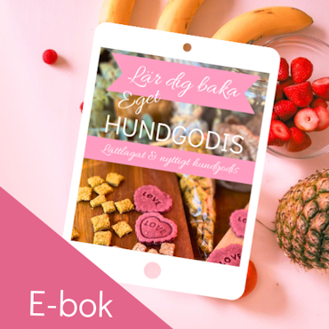 Lär dig baka eget hundgodis, E-bok