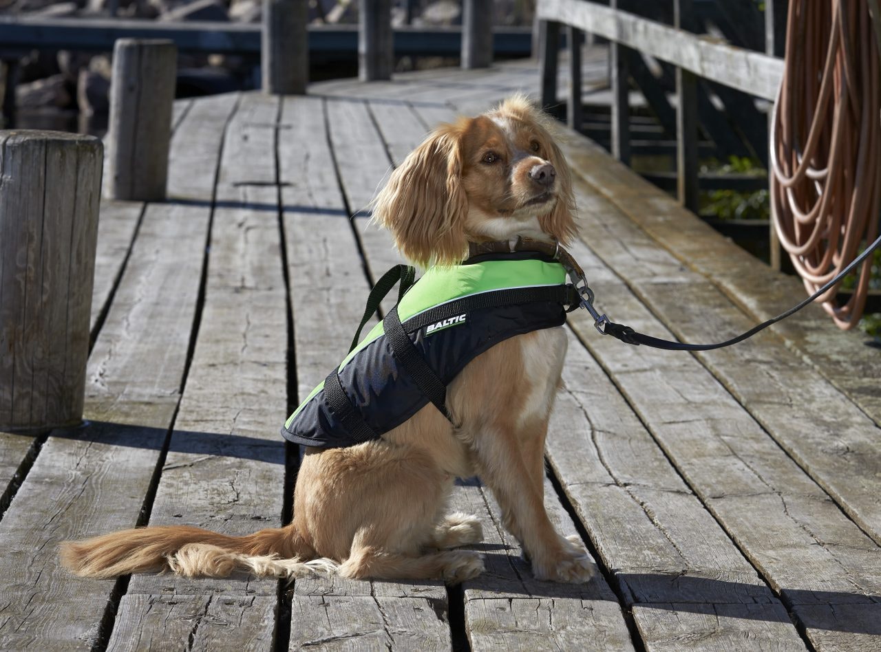 Baltic Hundväst Mascot