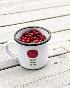 Lingonberry enamel mug