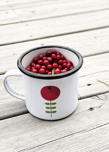 Lingonberry enamel mug