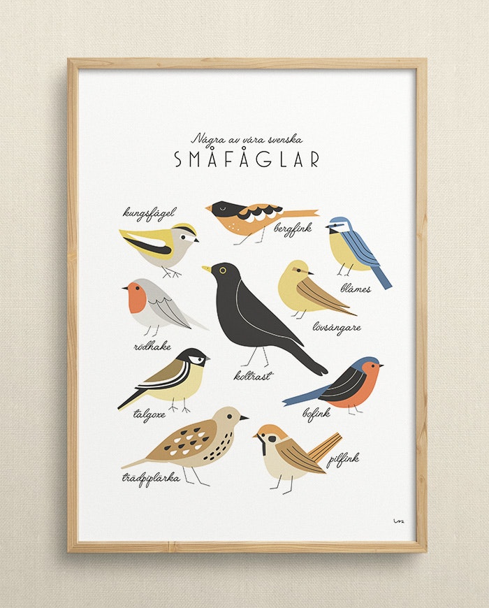 Swedish birds