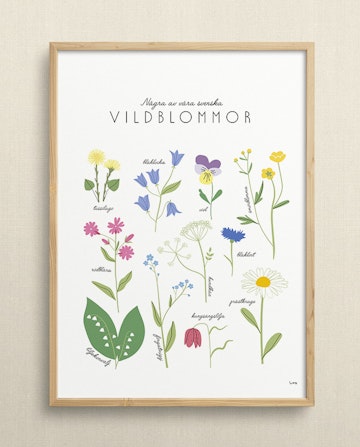 Vildblommor