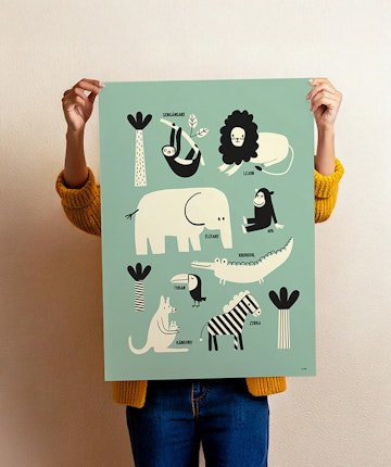 Jungle animals