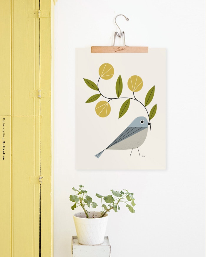Little blue bird