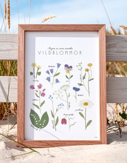 Vildblommor