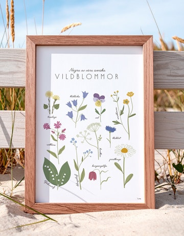 Vildblommor