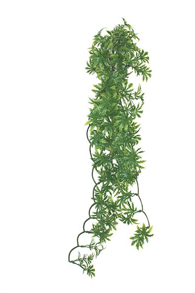 Papaya leaf vine 60 cm