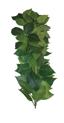 Ficus silk vine 35 cm