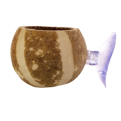 Terrario Hang Bowl Natural - hängskål med skal med sugkopp
