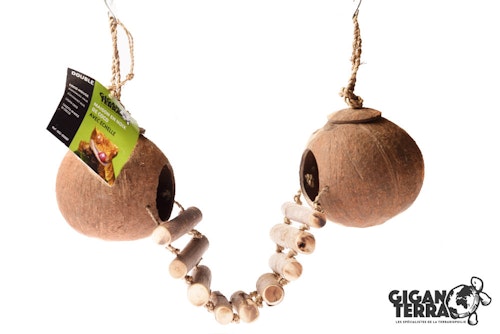 Dobble kokosnöt