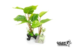 Standing plant - 00229 - Hauteur 30 cm