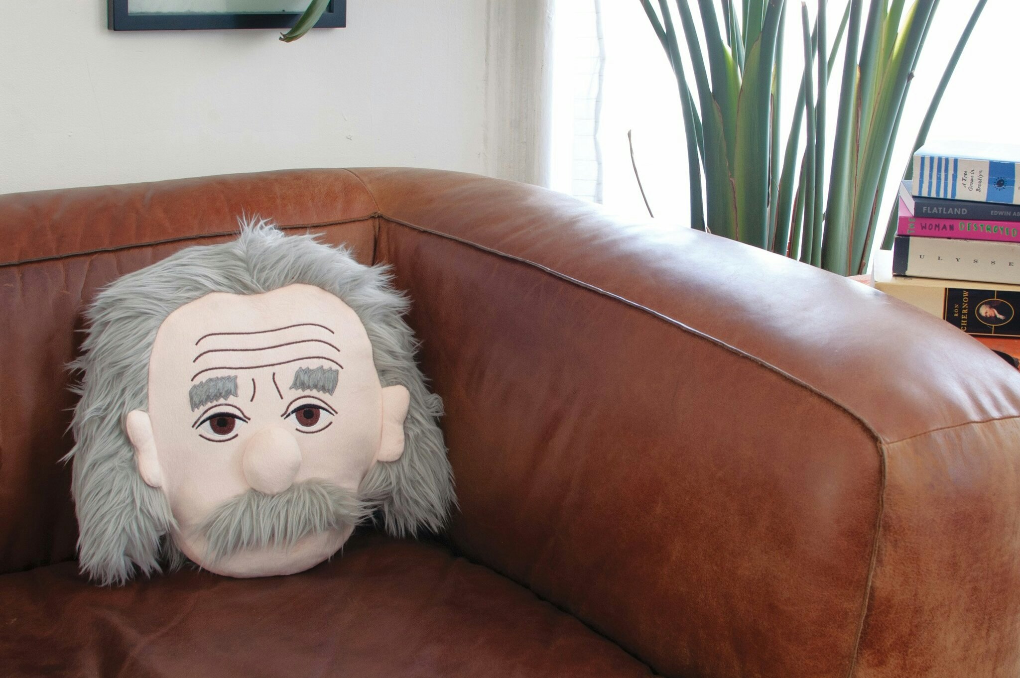 Kudde Professor Einstein - Stuffed Portrait - Presenter Med Stil