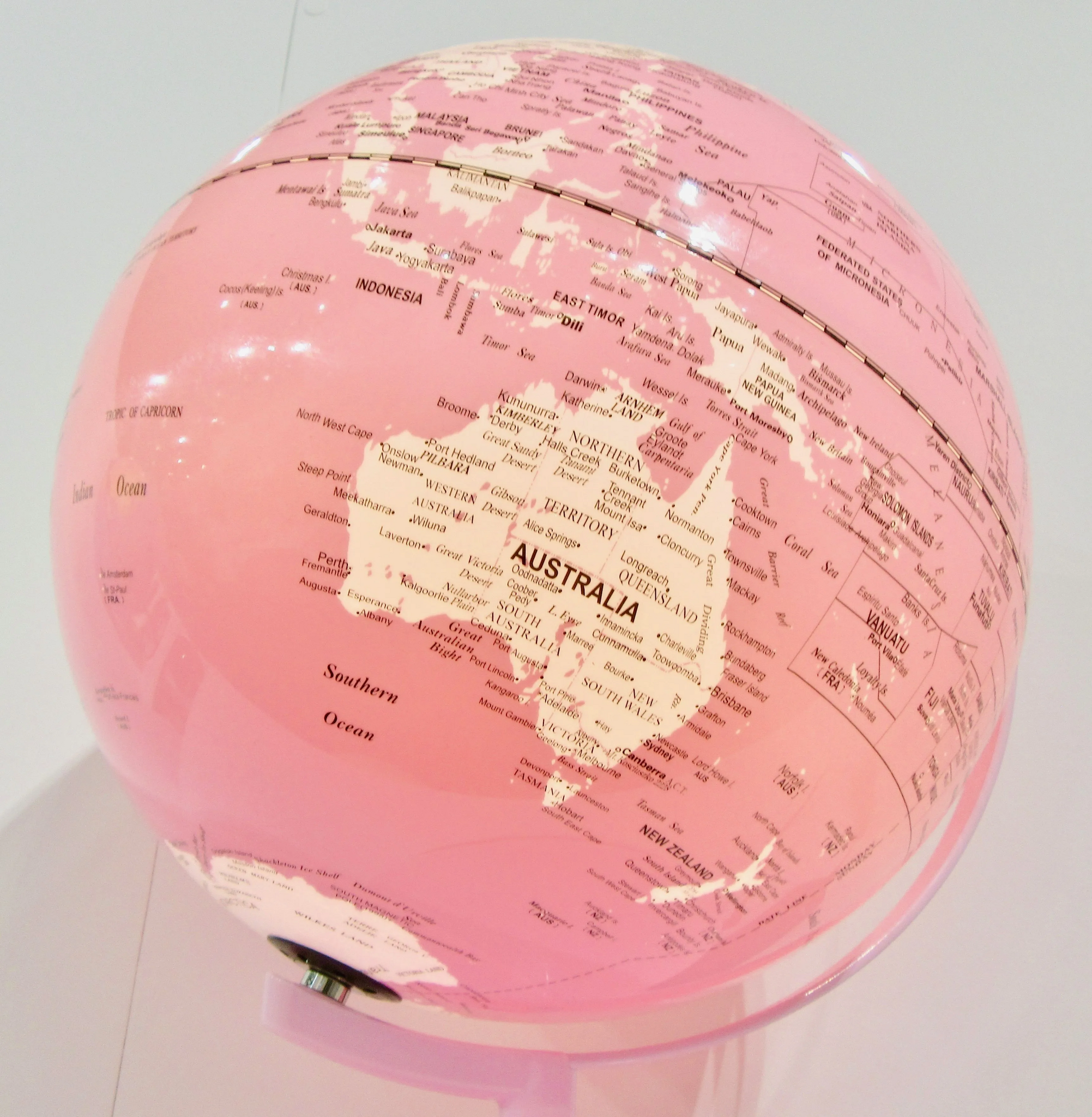 pink globe worldmap